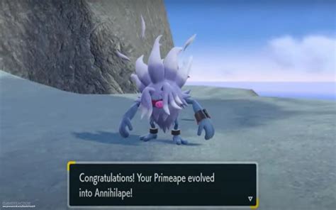 How to evolve Primeape and get Annihilape in。